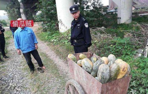 汾阳吃瓜最新事件爆料新闻,最新爆料揭示惊人内幕  第3张